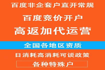 百度竞价托管外包服务案例：提升广告投放效率的秘诀